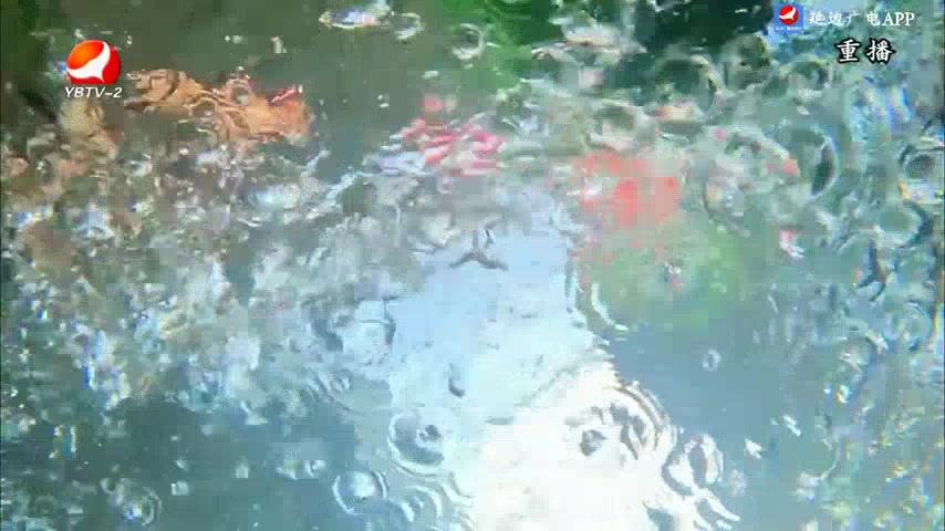 生活广角 2025-05-23