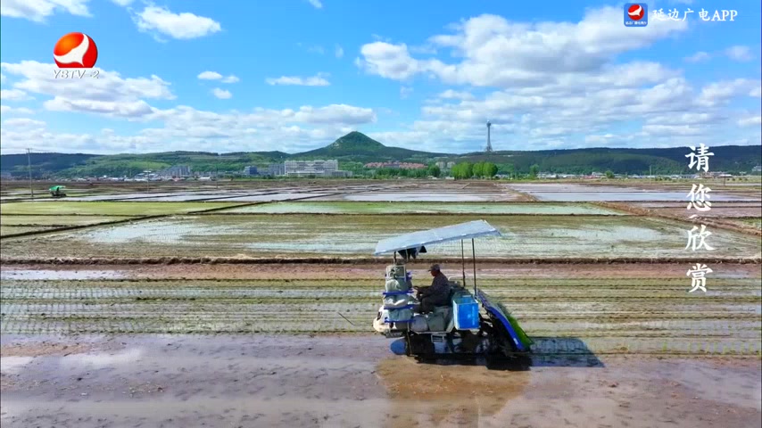 记者帮办 2025-05-28