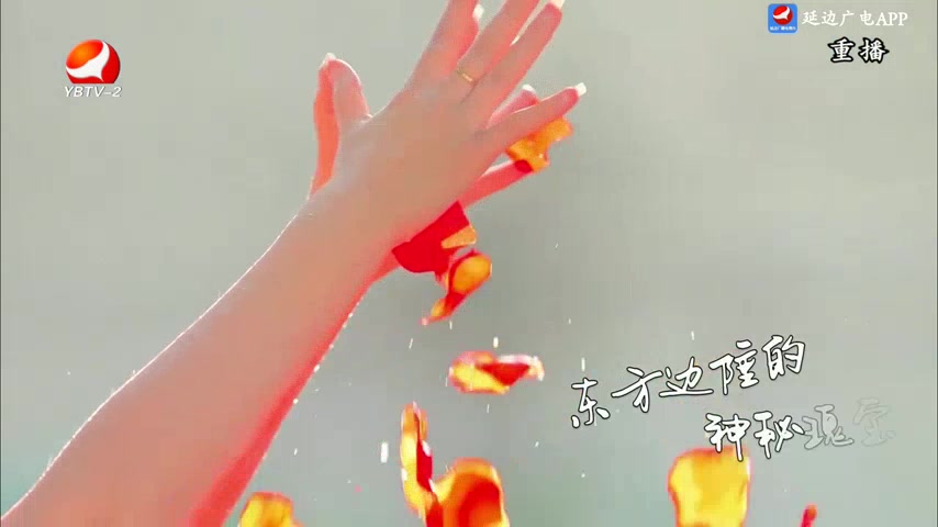 生活广角 2025-05-30