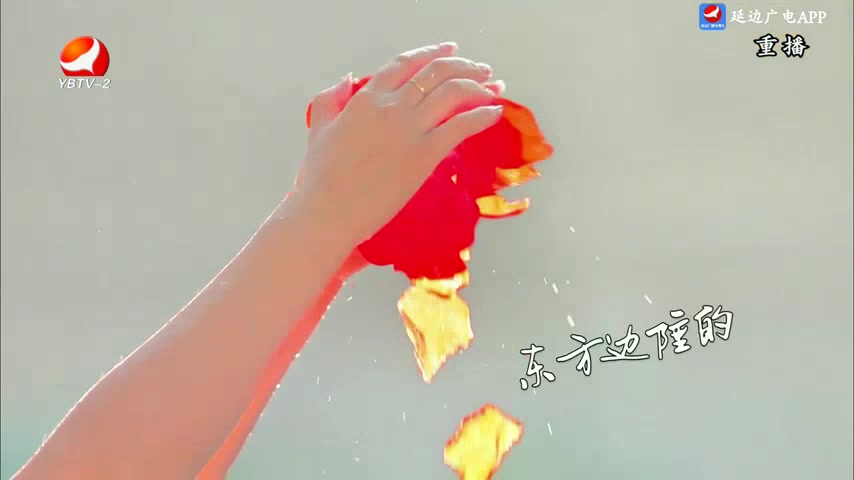 生活广角 2025-06-11